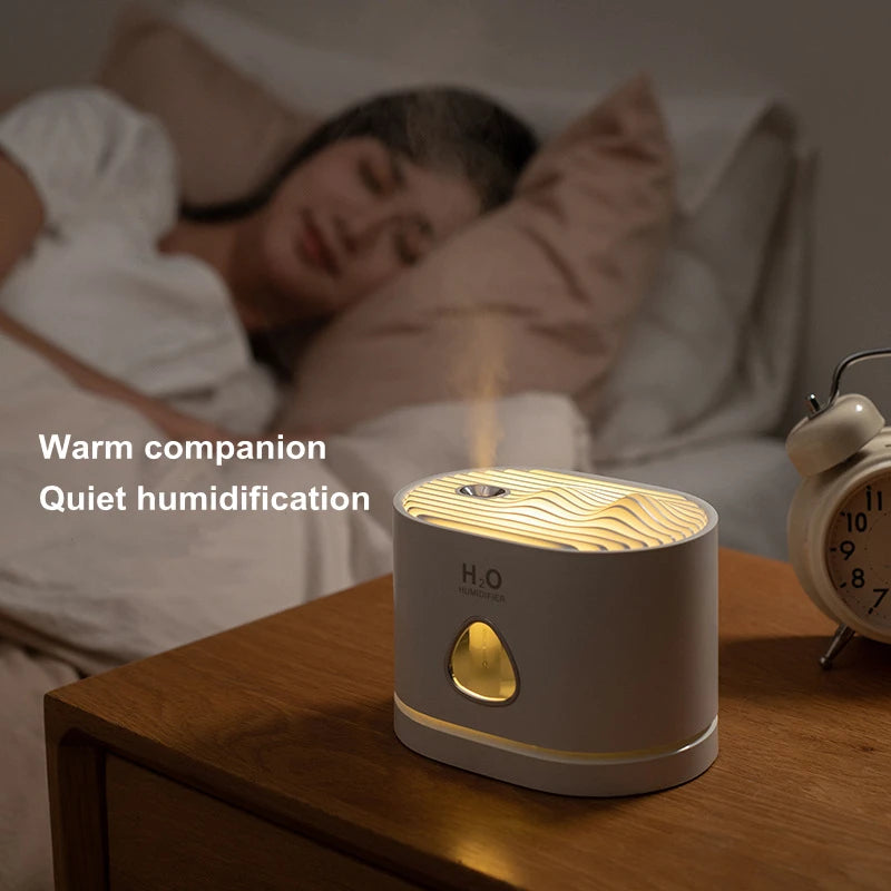 USB Rechargeable Humidifier Air Purifier with LED Light for Home